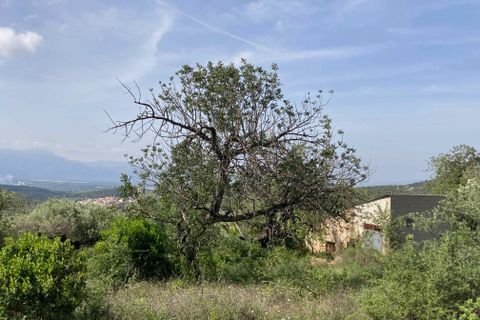 Landejendom i El Perello, Tarragona, El Perello - € 74.000 | Ref: FincaVistaValle - foto 18